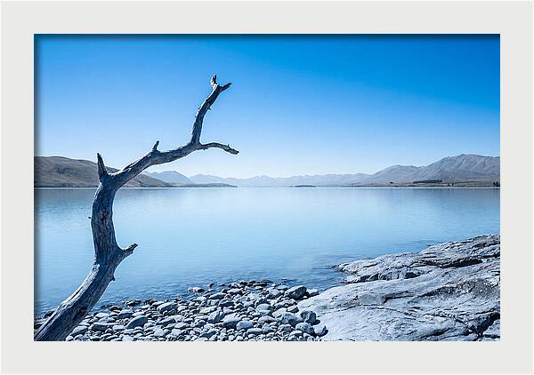 Negative Space Serenity