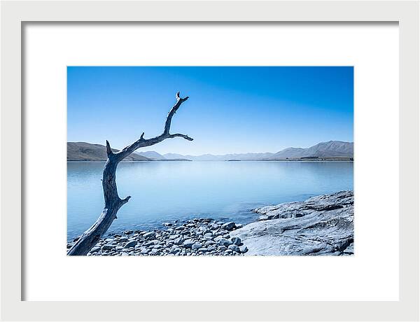 Negative Space Serenity