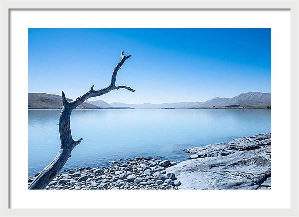 Negative Space Serenity