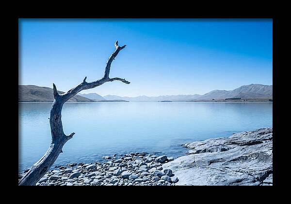 Negative Space Serenity