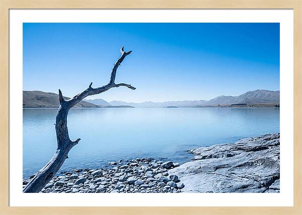 Negative Space Serenity