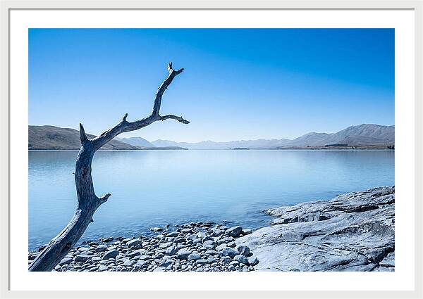 Negative Space Serenity