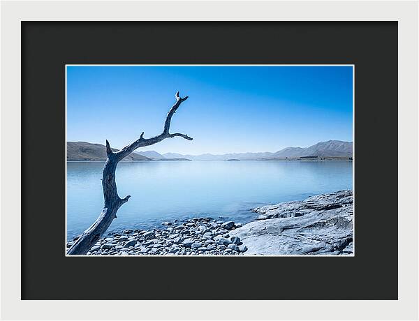 Negative Space Serenity