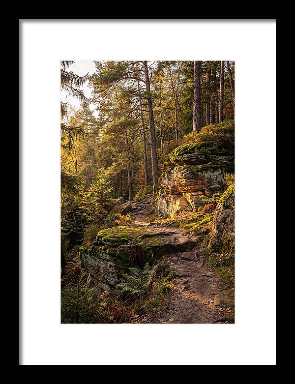 Nelson Ledges Serenity