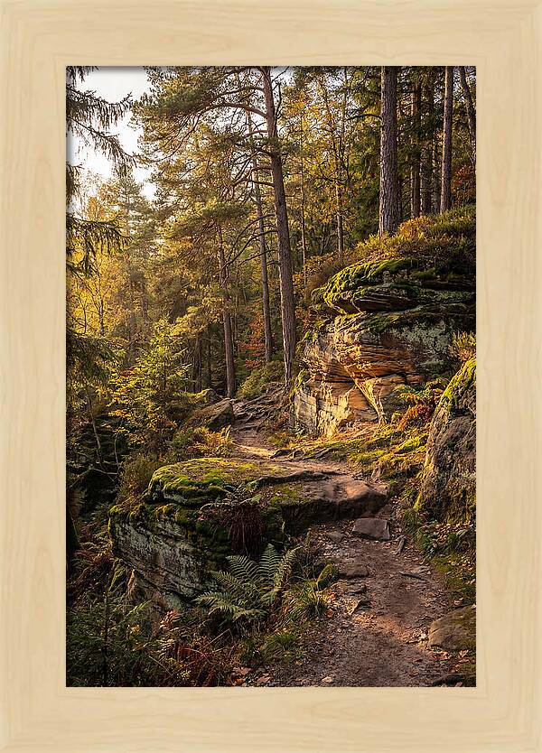 Nelson Ledges Serenity