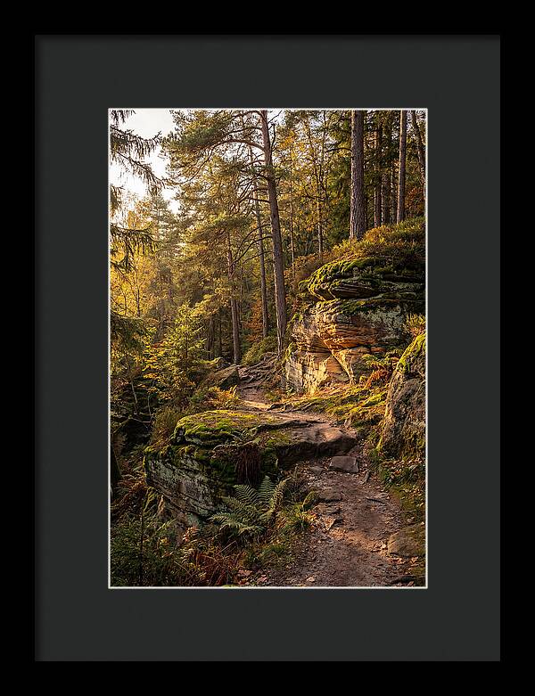 Nelson Ledges Serenity