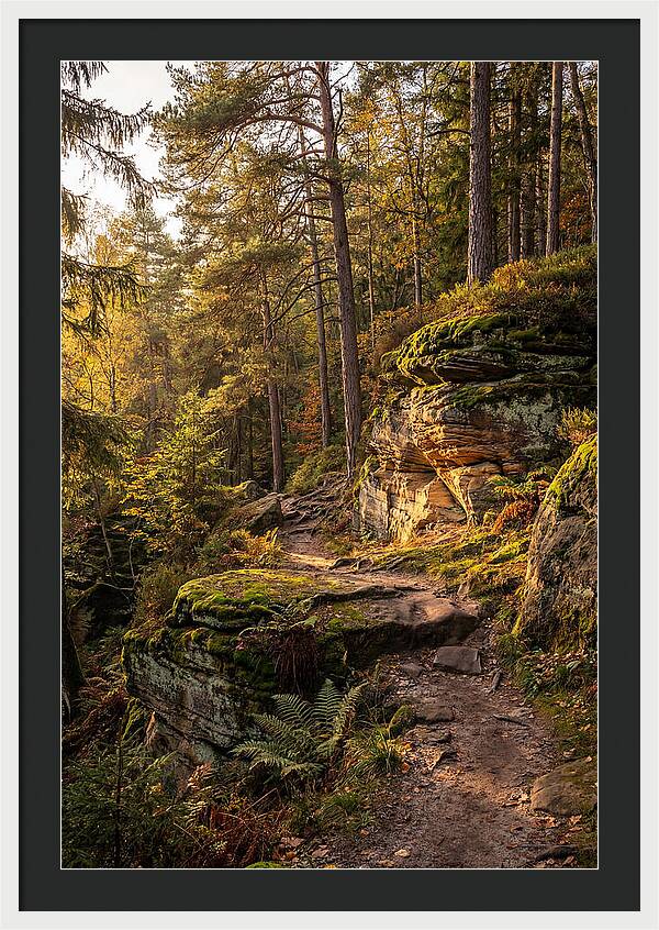 Nelson Ledges Serenity