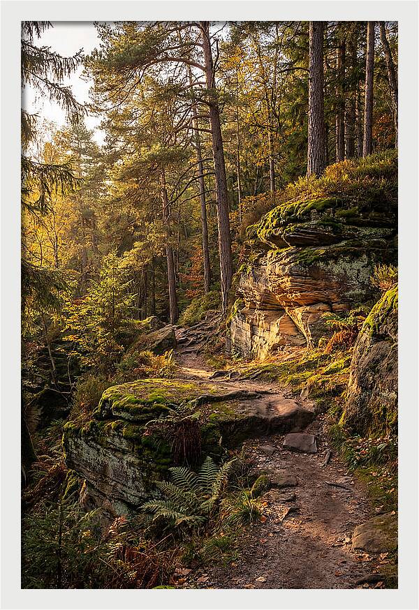 Nelson Ledges Serenity