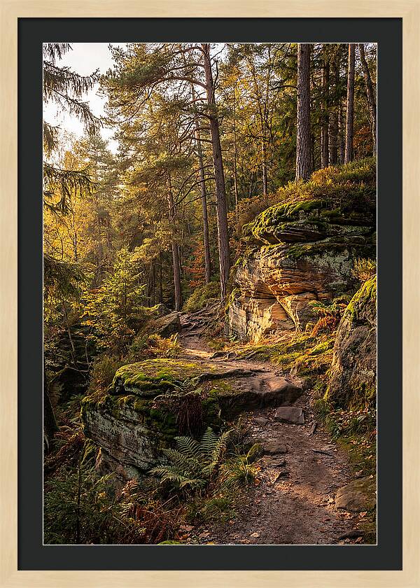 Nelson Ledges Serenity