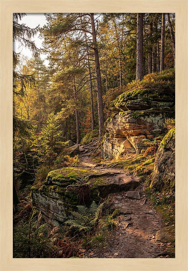 Nelson Ledges Serenity