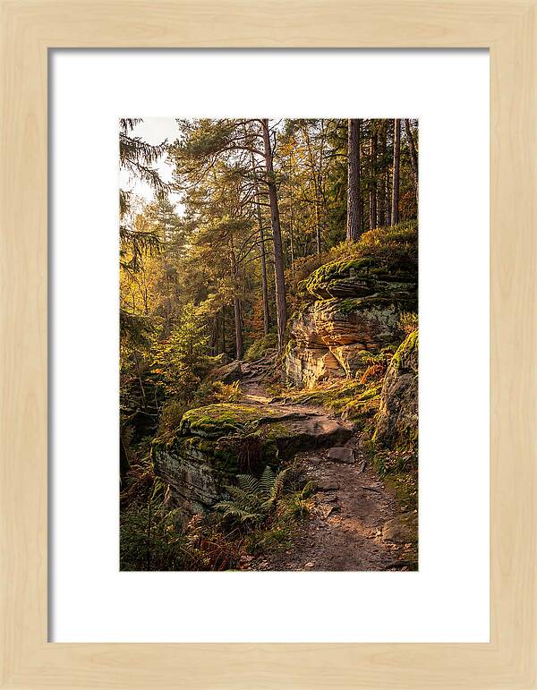 Nelson Ledges Serenity