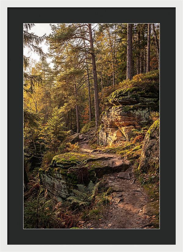 Nelson Ledges Serenity
