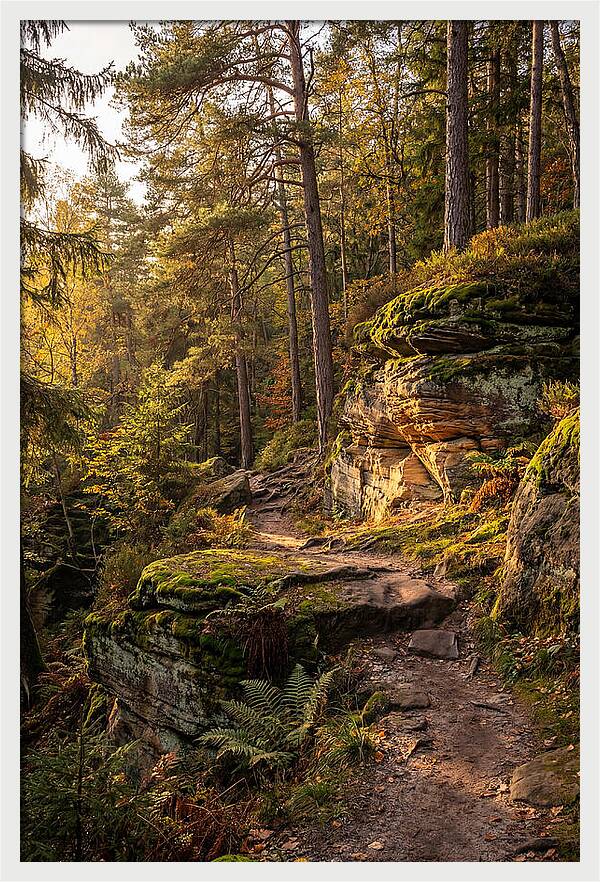 Nelson Ledges Serenity
