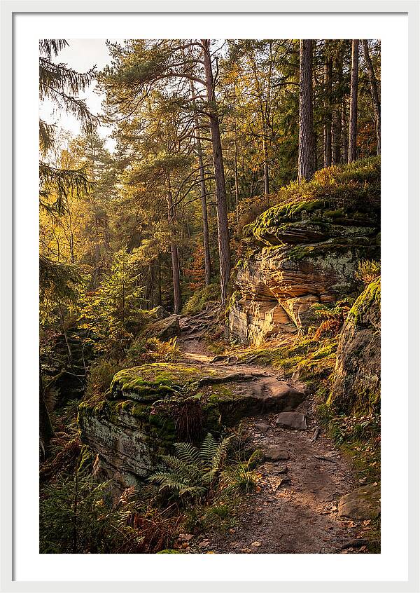 Nelson Ledges Serenity