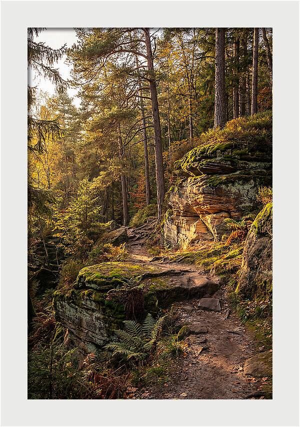 Nelson Ledges Serenity