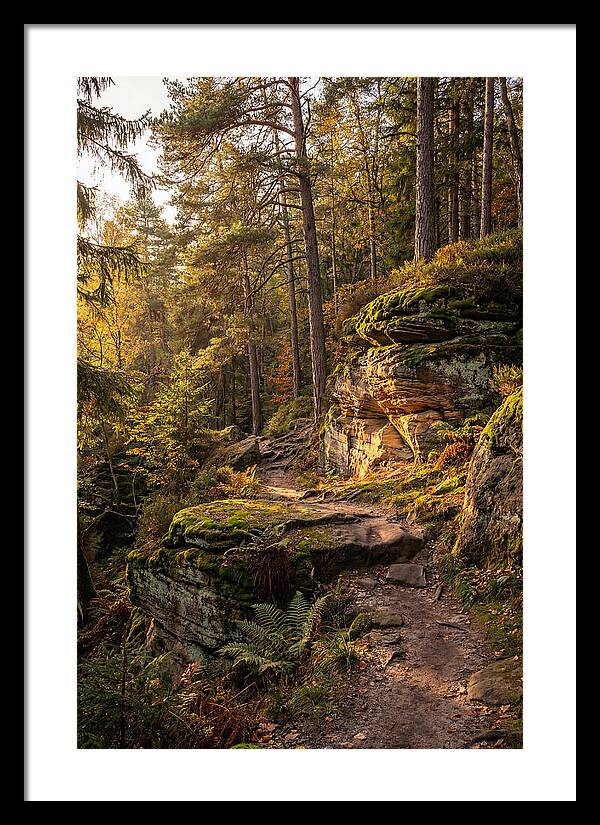 Nelson Ledges Serenity