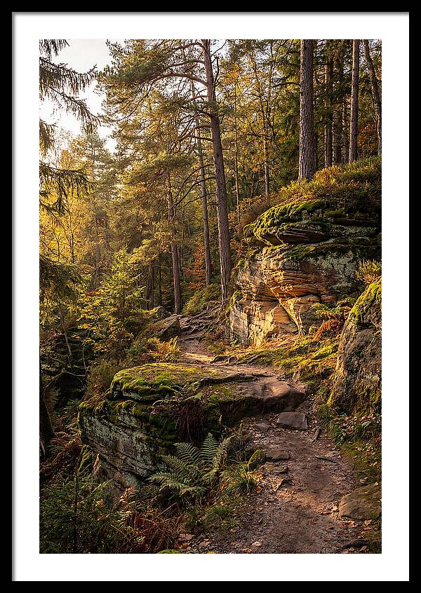 Nelson Ledges Serenity