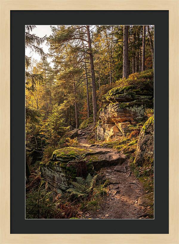 Nelson Ledges Serenity