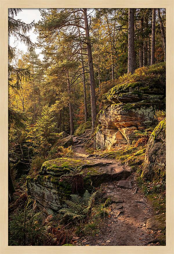 Nelson Ledges Serenity
