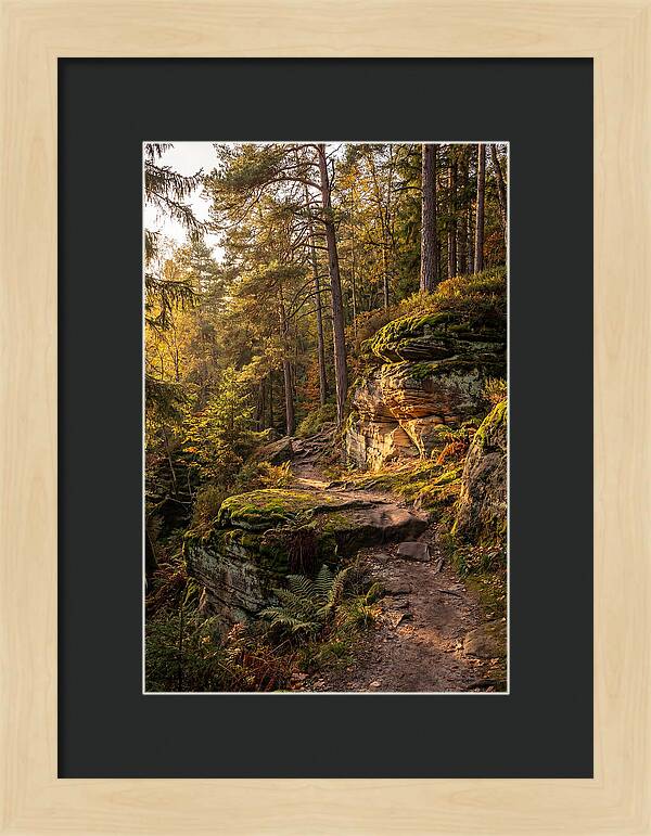 Nelson Ledges Serenity