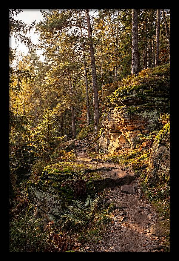Nelson Ledges Serenity