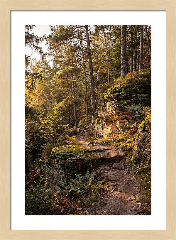 Nelson Ledges Serenity