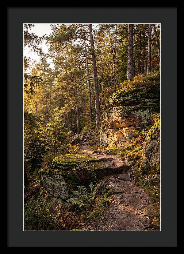 Nelson Ledges Serenity