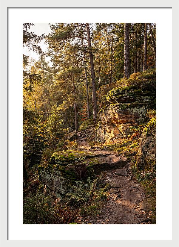 Nelson Ledges Serenity