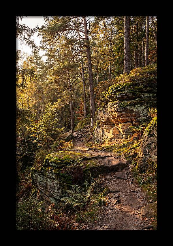 Nelson Ledges Serenity