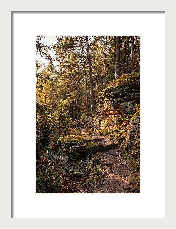 Nelson Ledges Serenity