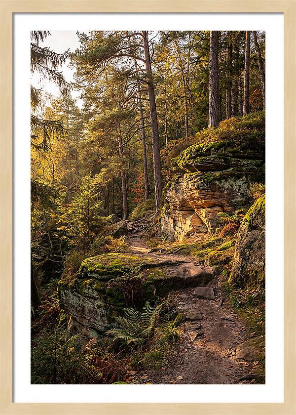 Nelson Ledges Serenity