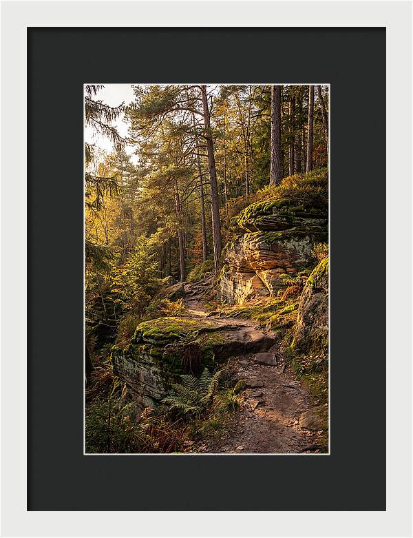 Nelson Ledges Serenity