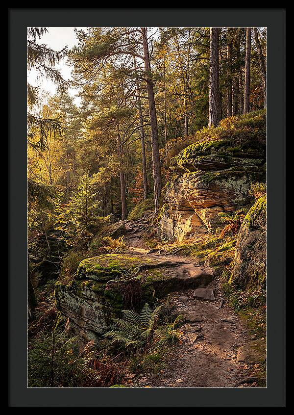 Nelson Ledges Serenity