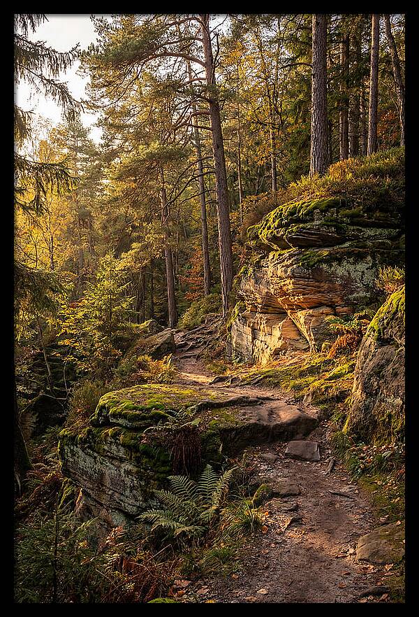 Nelson Ledges Serenity