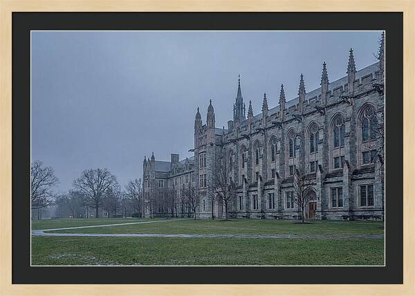Neo Gothic University Building