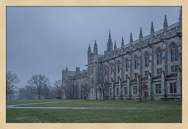 Neo Gothic University Building