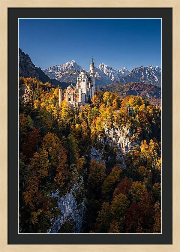 Neuschwanstein Castle In Autumn