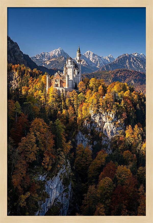 Neuschwanstein Castle In Autumn