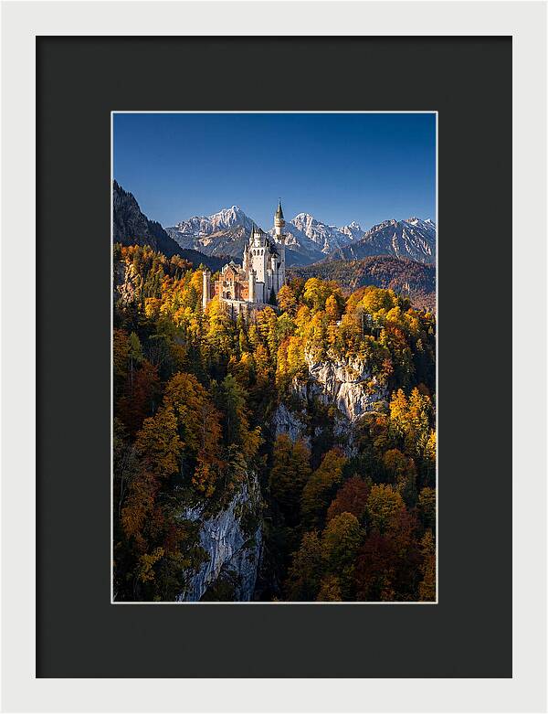 Neuschwanstein Castle In Autumn