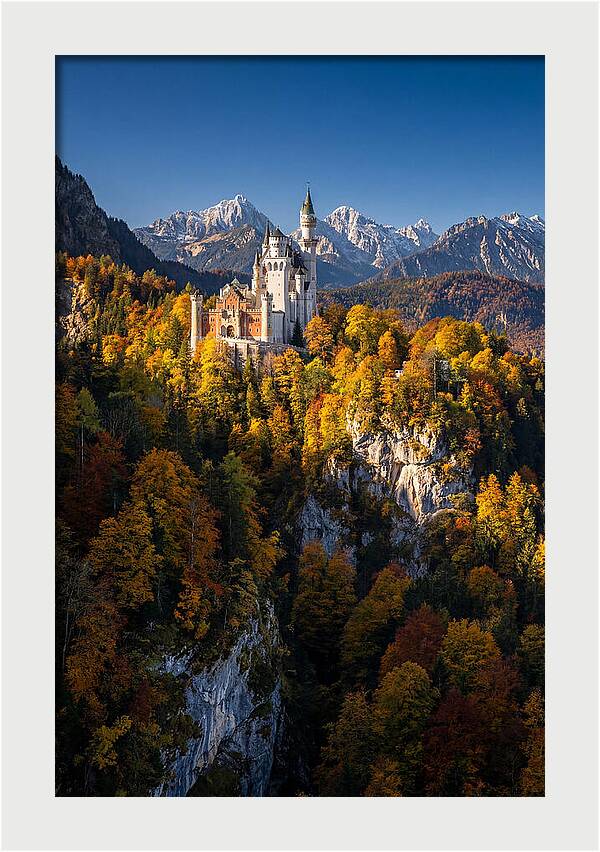 Neuschwanstein Castle In Autumn