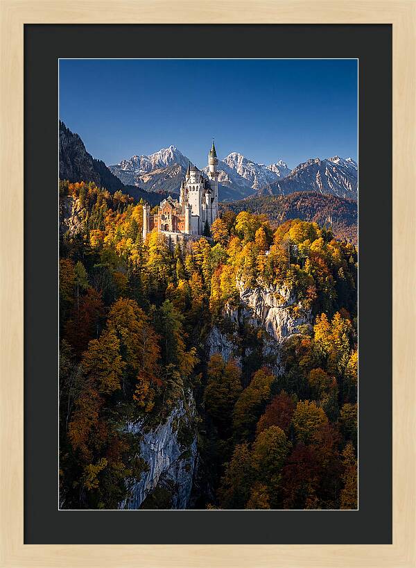 Neuschwanstein Castle In Autumn