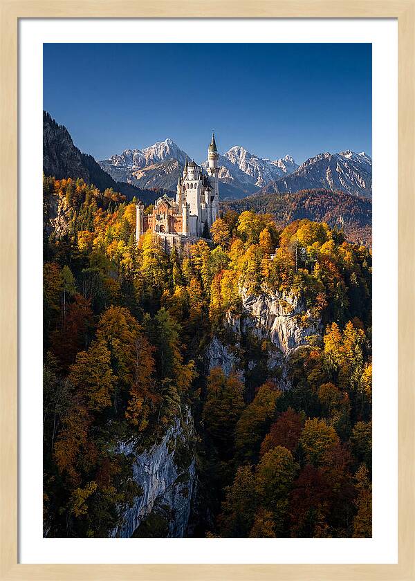Neuschwanstein Castle In Autumn
