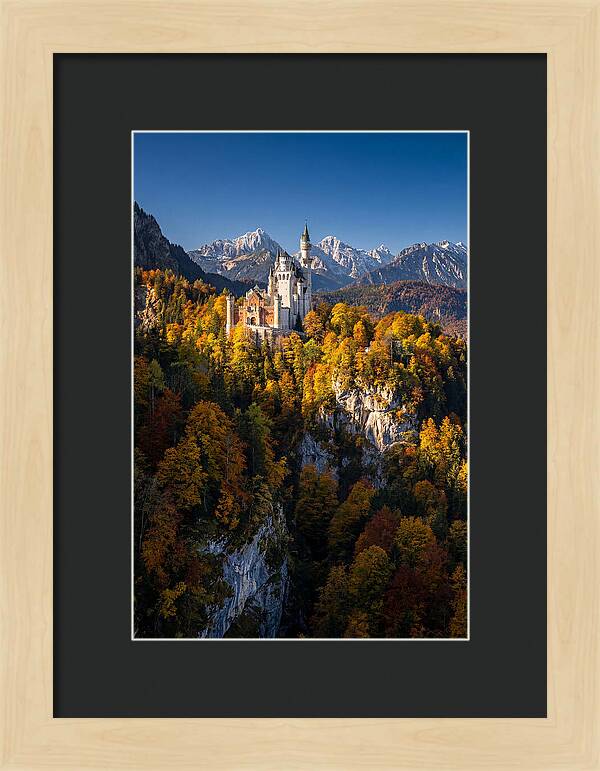 Neuschwanstein Castle In Autumn