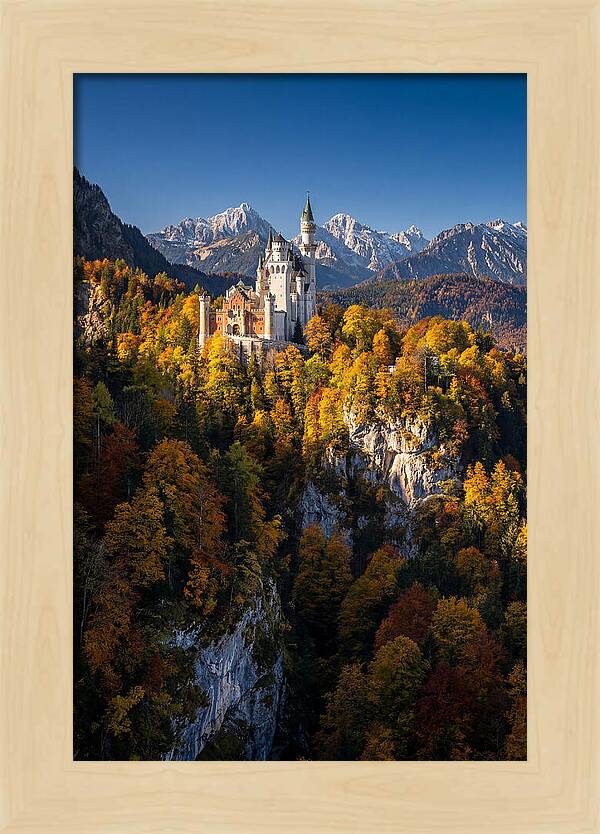 Neuschwanstein Castle In Autumn