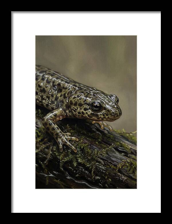 Newt Among Mossy Logs