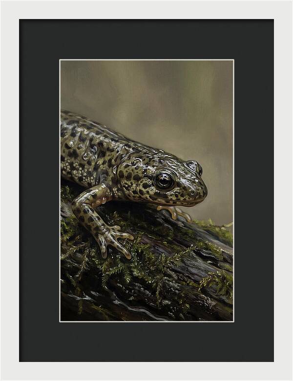 Newt Among Mossy Logs