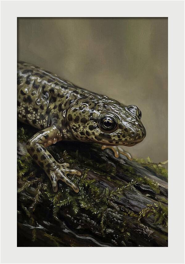 Newt Among Mossy Logs