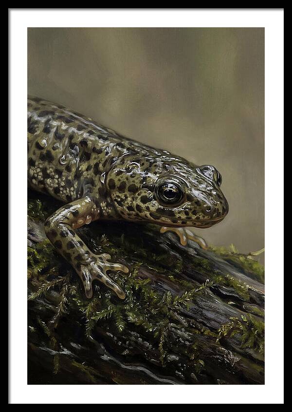Newt Among Mossy Logs