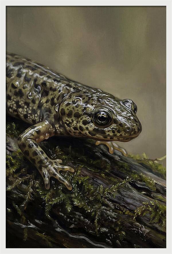 Newt Among Mossy Logs