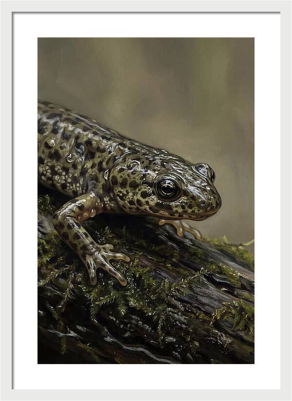Newt Among Mossy Logs